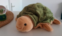 Praxismaskottchen Liese